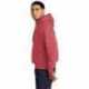 Champion GDS101 Reverse Weave Garment-Dyed Hooded Sweatshirt