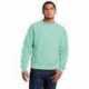 Champion GDS149 Reverse Weave Garment-Dyed Crewneck Sweatshirt