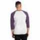 Next Level Apparel 6051 Unisex Triblend Three-Quarter Sleeve Raglan