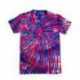 Tie-Dye CD100 Adult T-Shirt