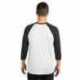 Next Level Apparel 6051 Unisex Triblend Three-Quarter Sleeve Raglan