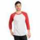 Next Level Apparel 6051 Unisex Triblend Three-Quarter Sleeve Raglan