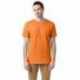 Hanes 5280 Adult Essential Short Sleeve T-Shirt