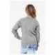 Bella + Canvas 3901Y Youth Sponge Fleece Raglan Sweatshirt