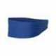 Badger 0301 Wide Headband