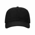 Richardson 254RE Sustainable Ashland Dad Hat